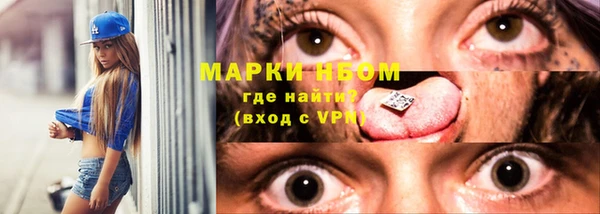 ПСИЛОЦИБИНОВЫЕ ГРИБЫ Арсеньев