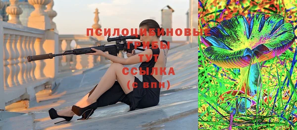 ПСИЛОЦИБИНОВЫЕ ГРИБЫ Арсеньев