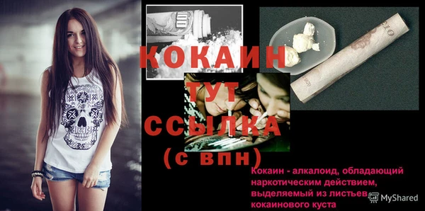 гашик Аркадак