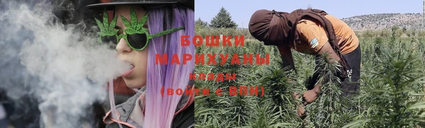 ПСИЛОЦИБИНОВЫЕ ГРИБЫ Арсеньев