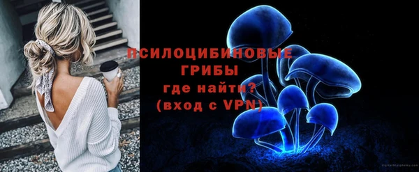 гашик Аркадак