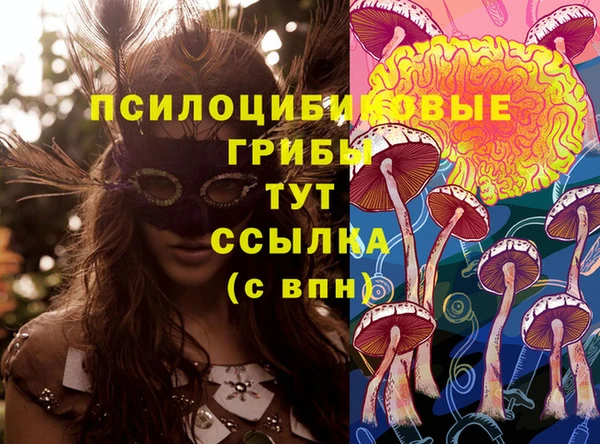гашик Аркадак